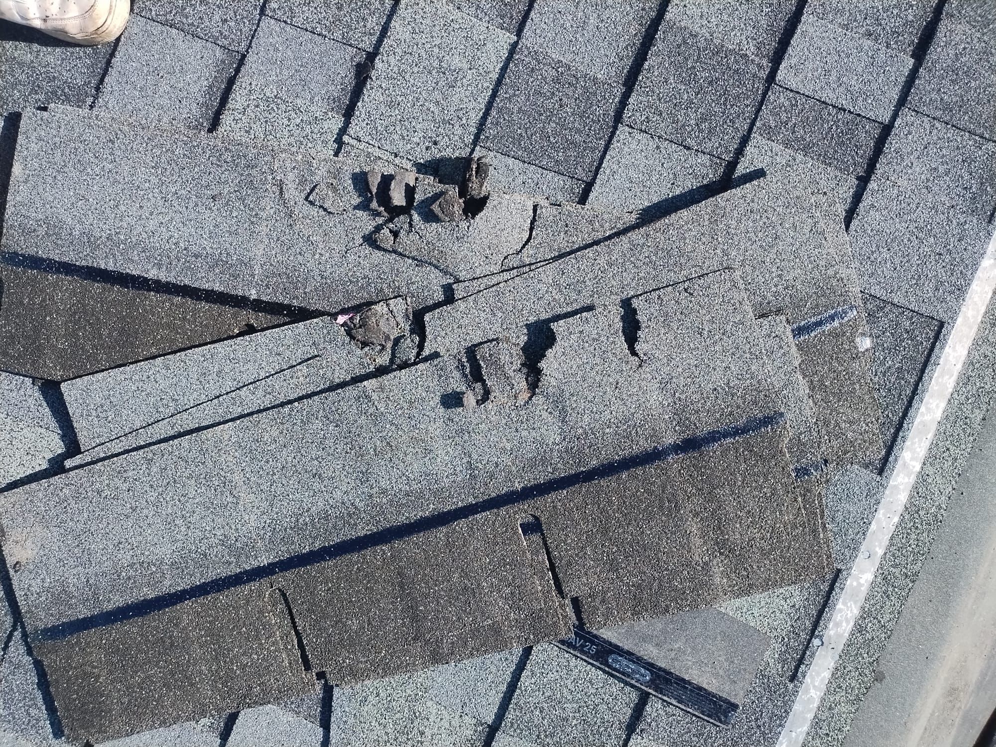 Project in Clearwater 33761 by Mitchell Roofing Company LLC