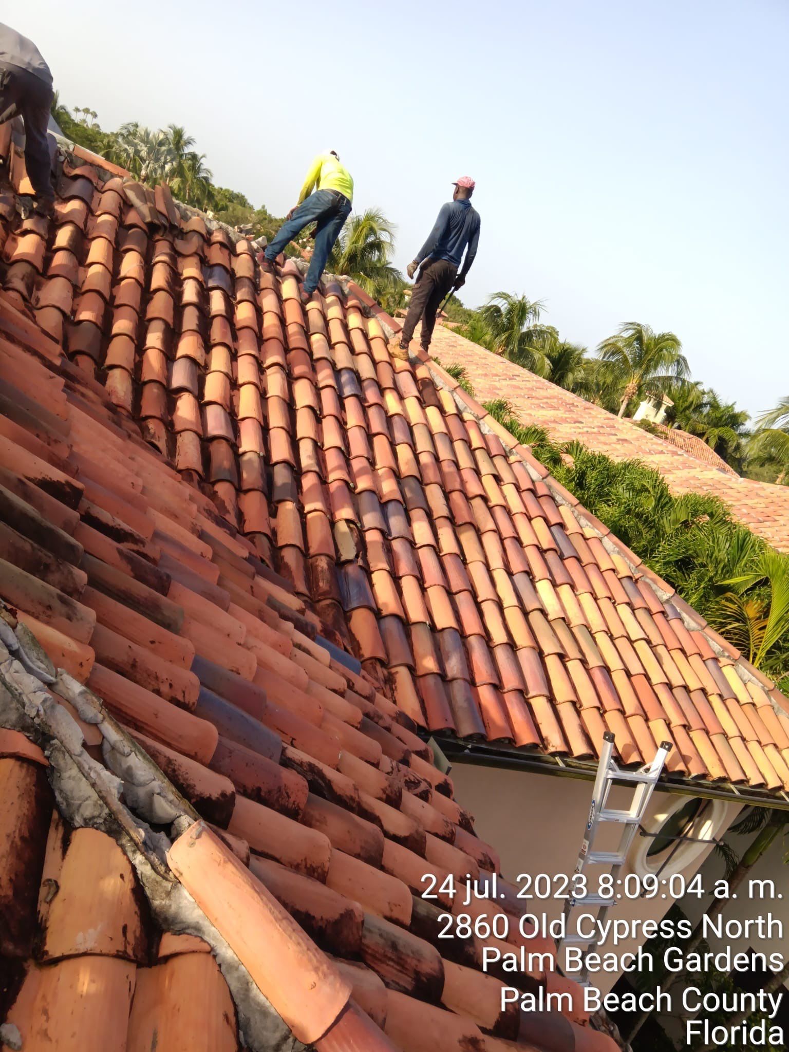 Terracotta Clay Tile by Reimagine Roofing