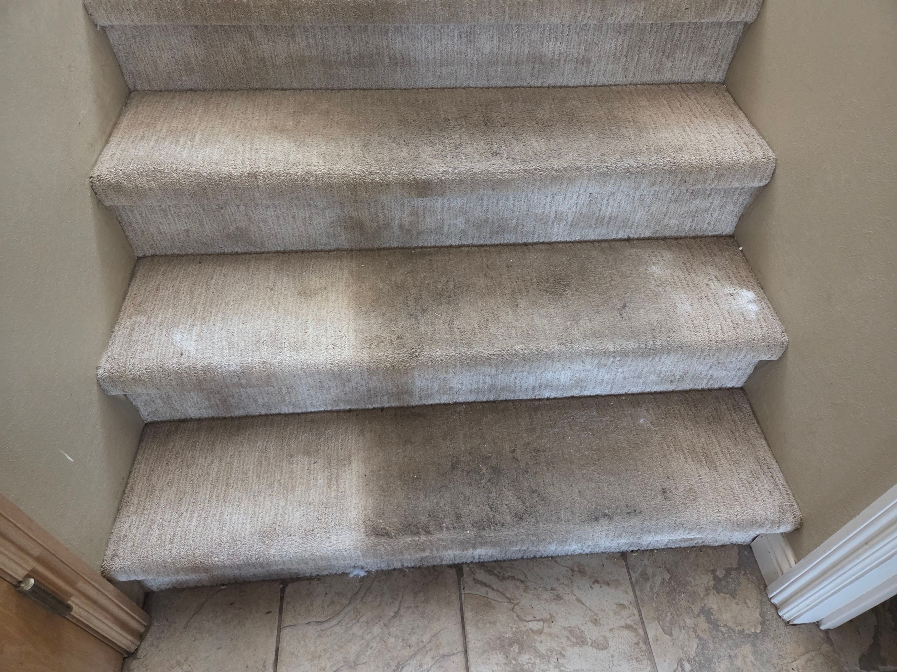Carpet Cleaning in Rancho Murieta by Ardent Carpet Restore LLC
