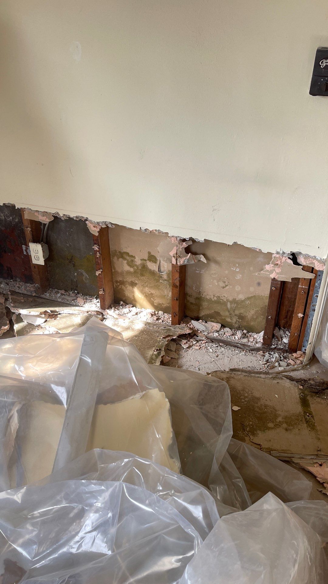 Mold Remediation  by THE RAPID TEAM