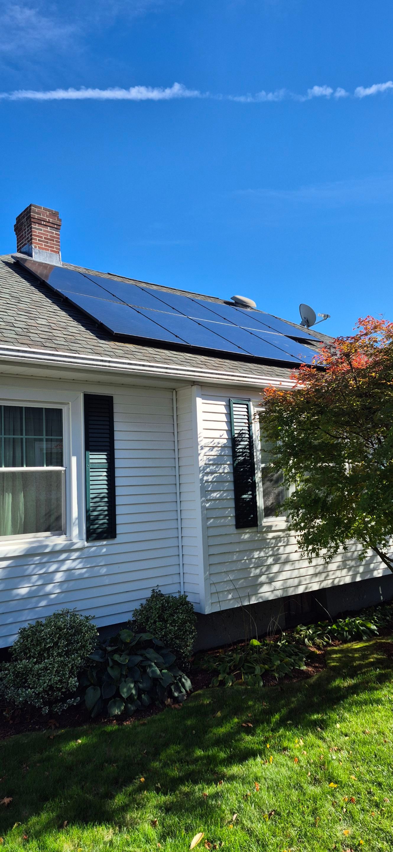 Cynthia D. by OneGrid