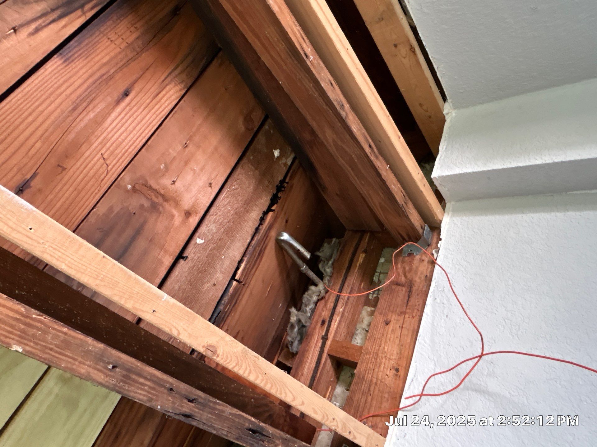 Mold Inspection & Mold Removal In St. Petersburg, FL by Ampm Restoration Services