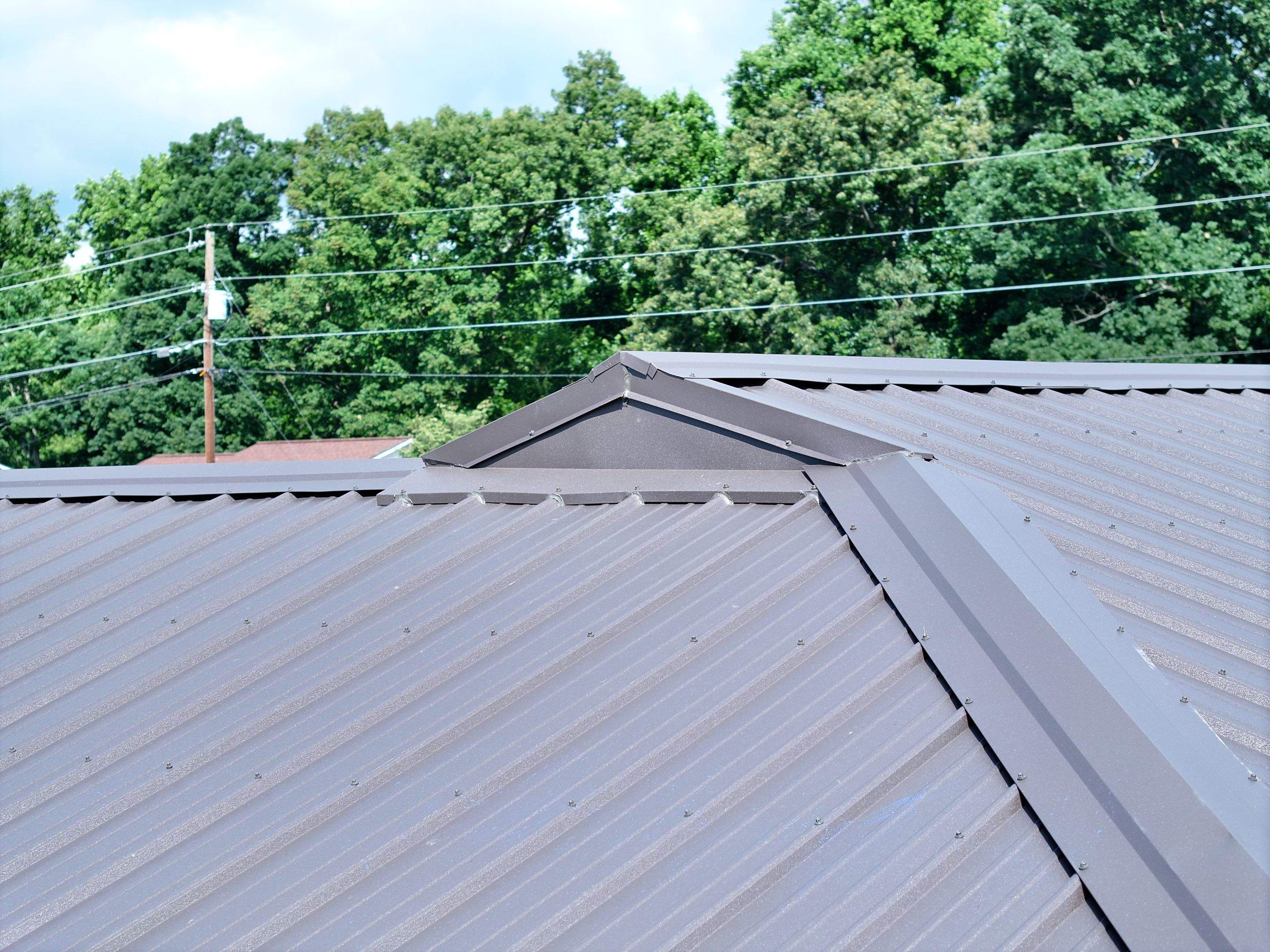 Maximoff Residence by Omnia Roofing