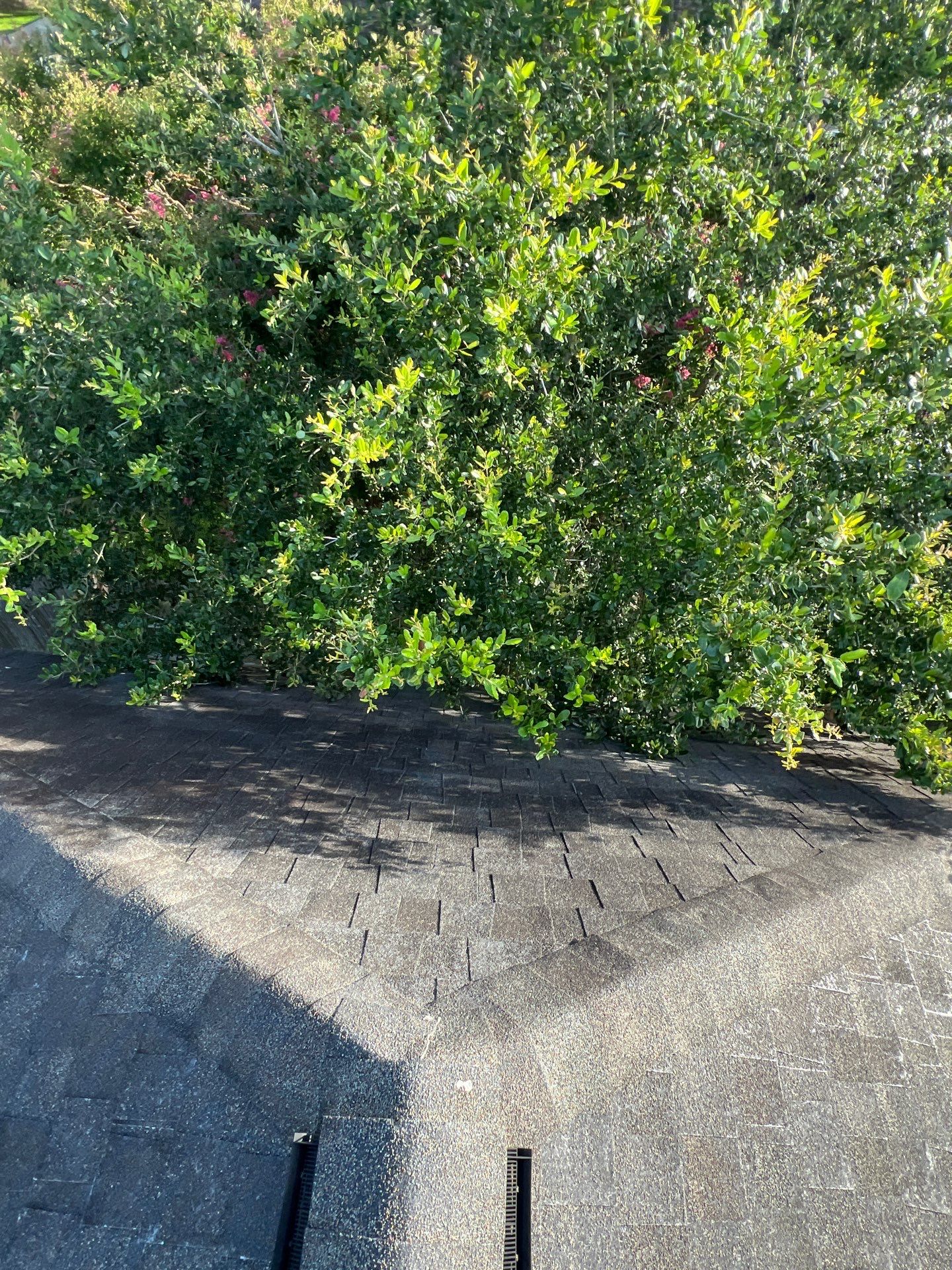 Hail Damage using Owen's Corning Duration (Lifetime) Shingles by Roof Repair Company
