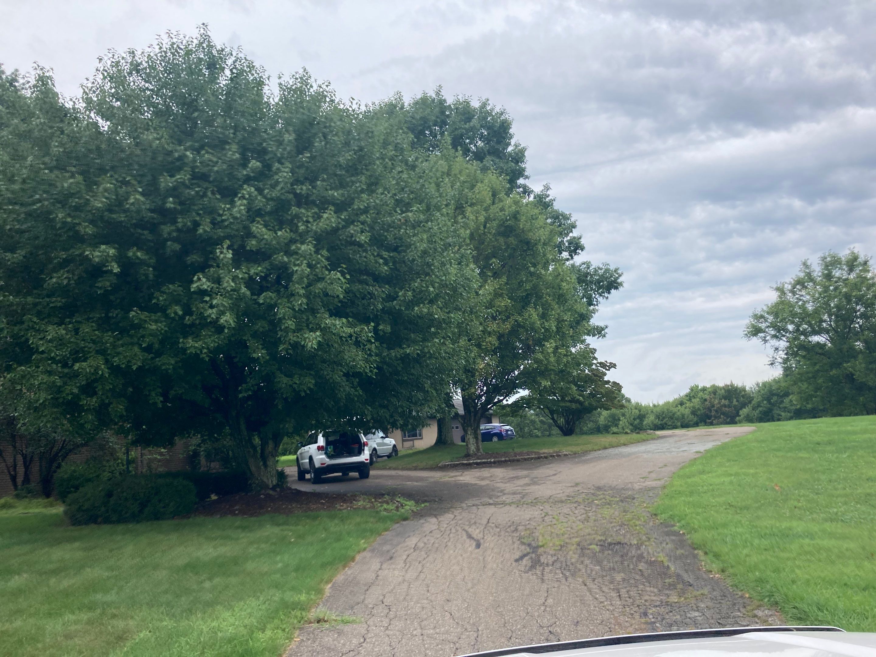 Personal and Commercial Lanes by Brant's Asphalt