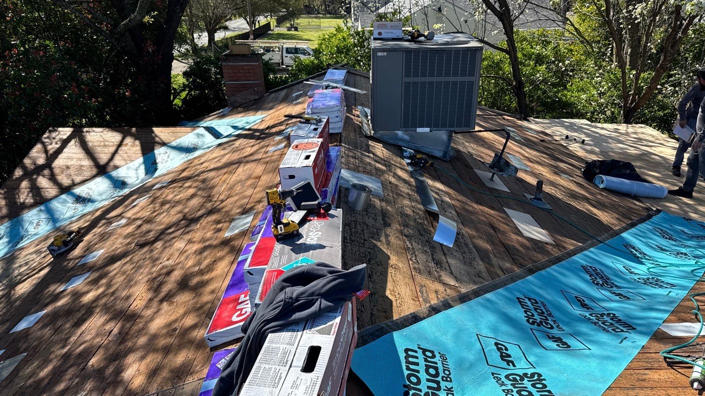 Willa Holmstock by NuLead Construction Inc