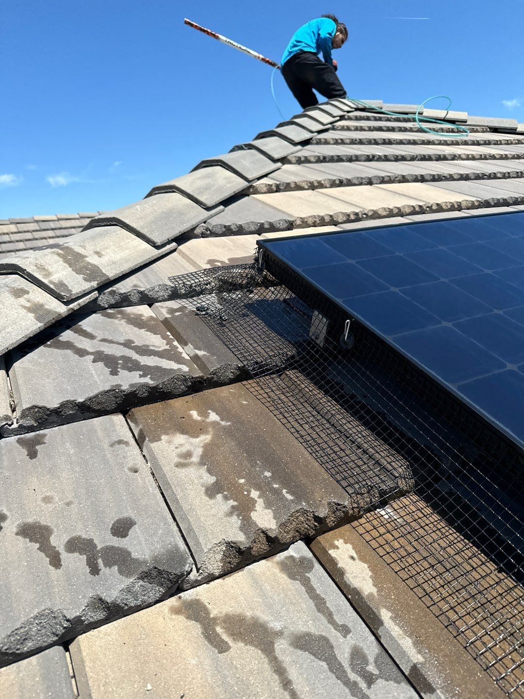 Project in Sacramento, CA by All One Solar Shine