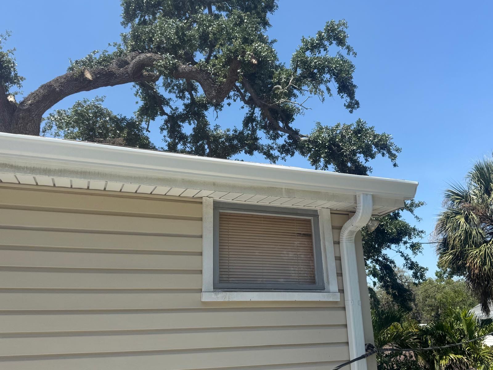 Residential Seamless Gutter Solutions in Tampa FL by Gutter Professors