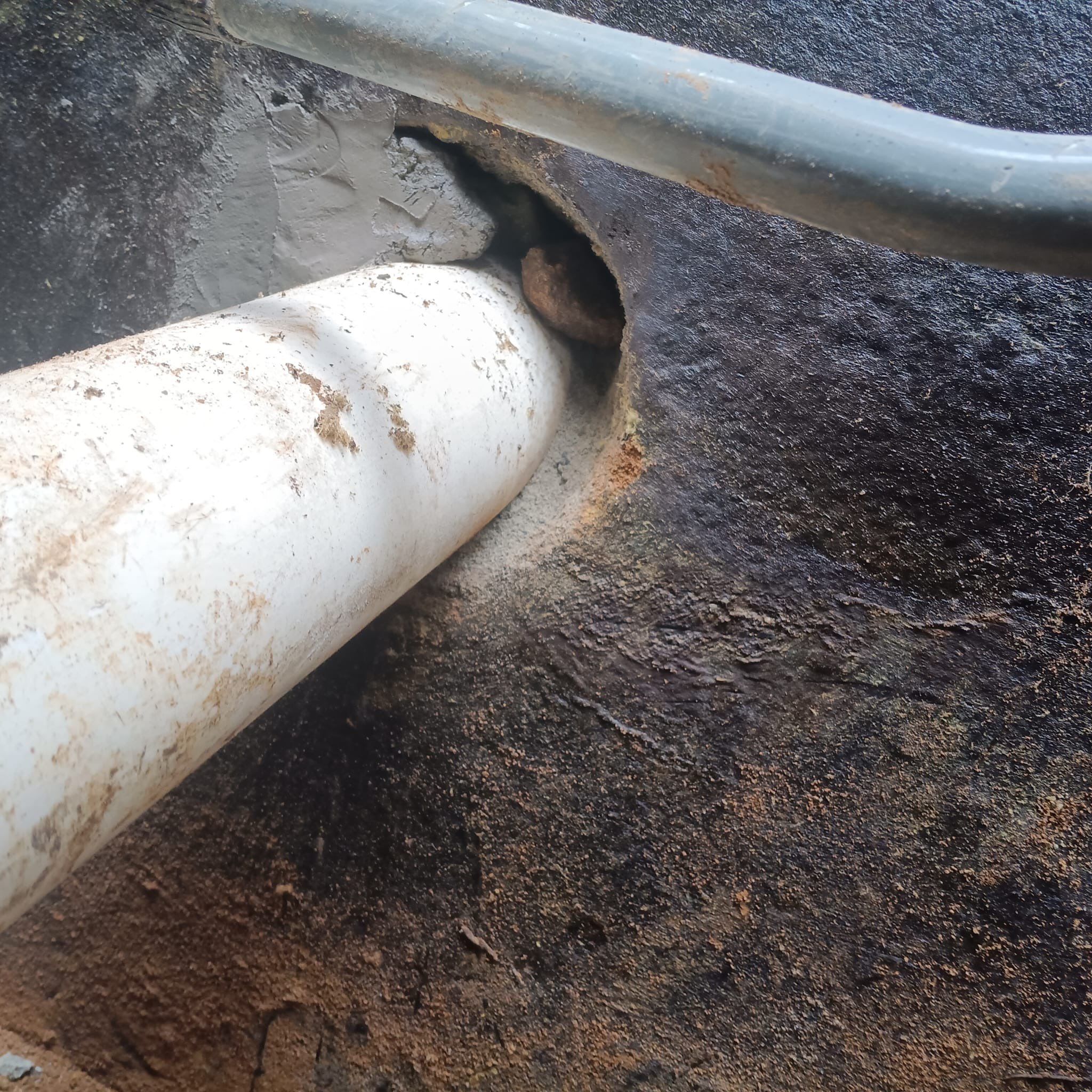 Basement Waterproofing & Crack Repair Randolph NJ by Pure Service Pro, LLC 