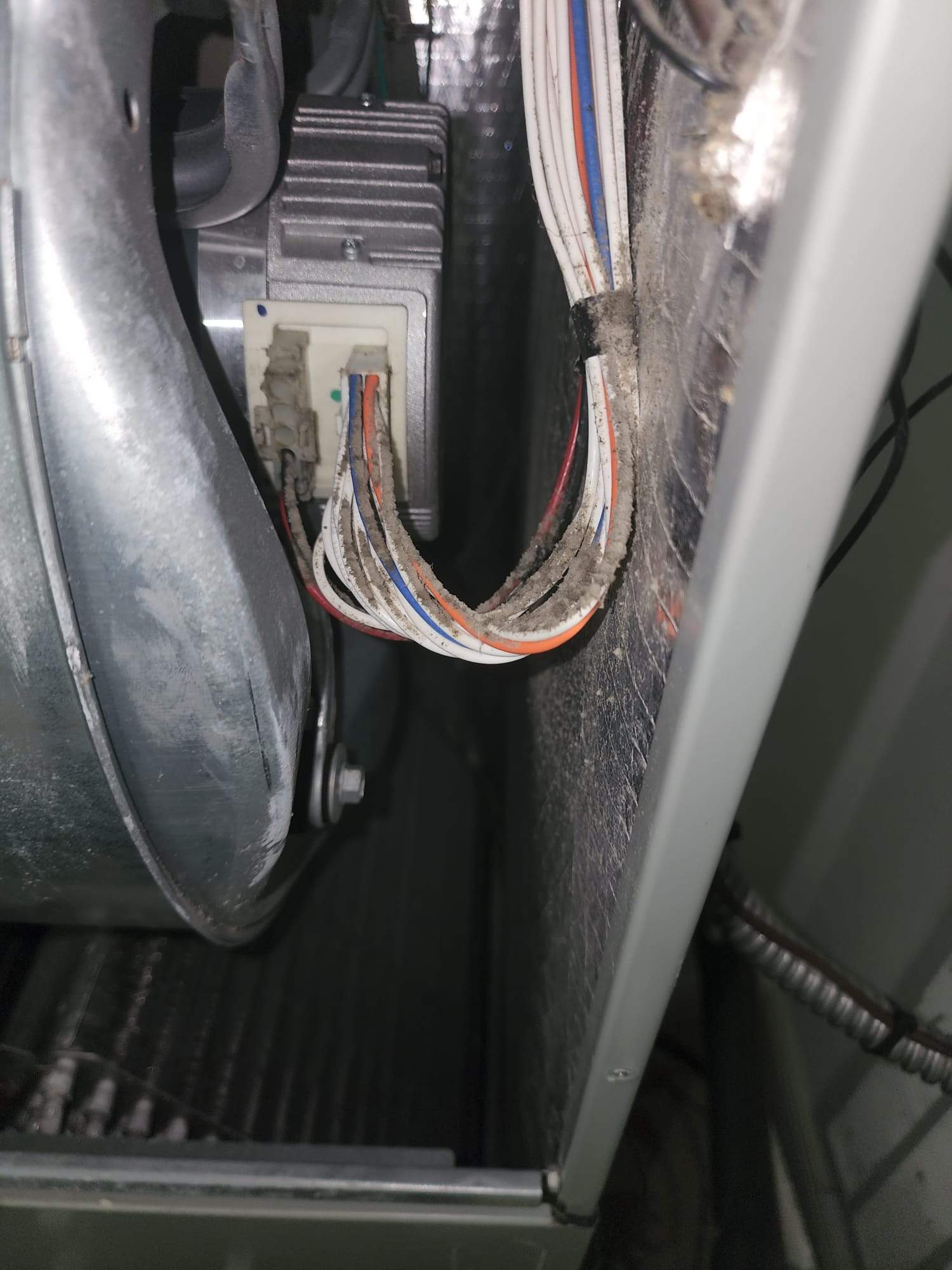 Holmes Beach AC Mold Deep Cleaning by Ampm Restoration Services
