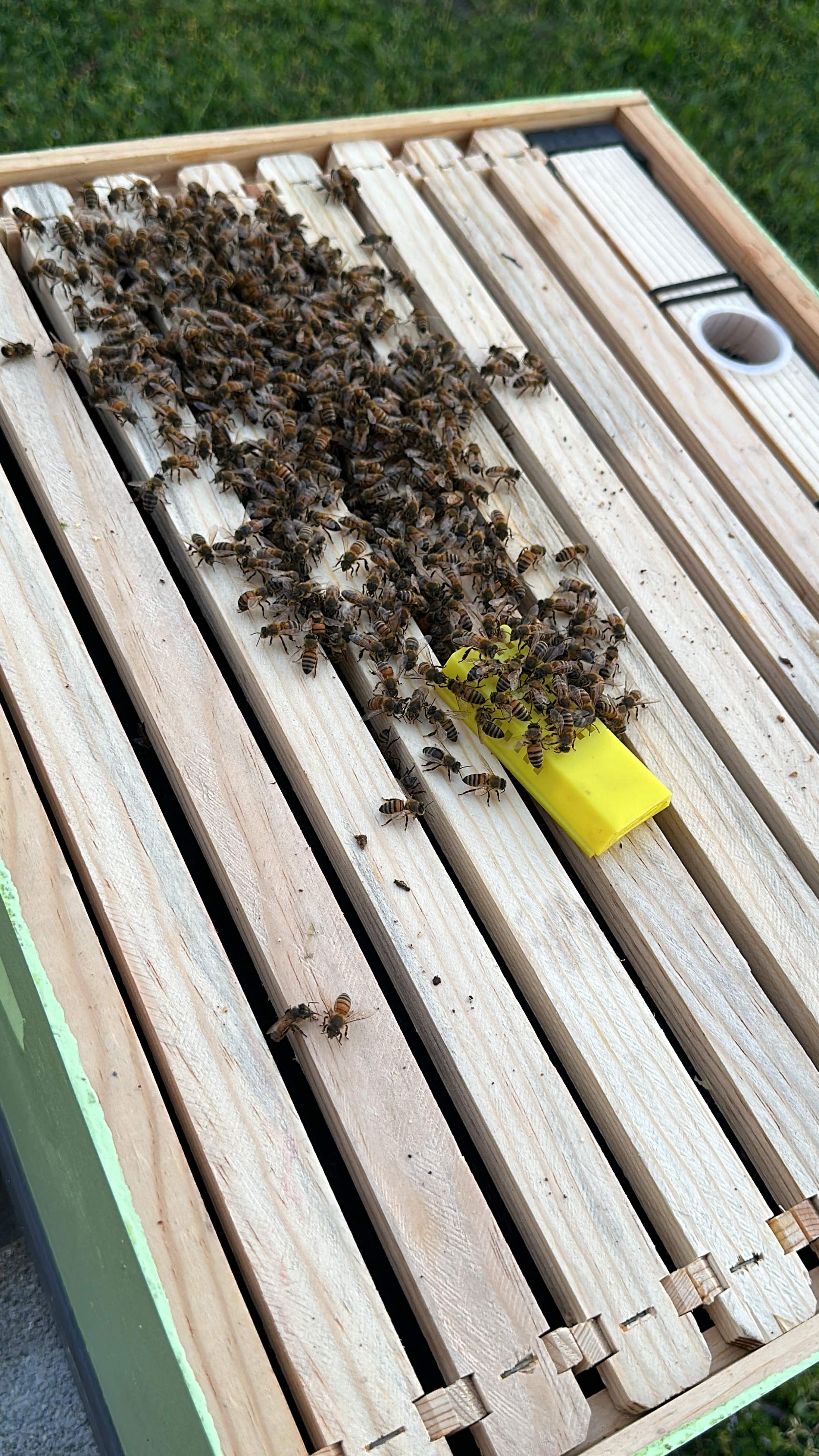 New Construction by Rockwall Honey Bee Company