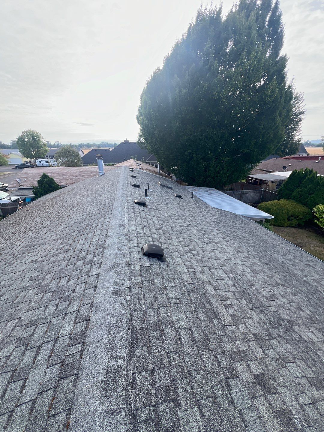 Residential Roofing Installation using IKO Dynasty (Color: Frostone Grey) by Orezona Building & Roofing Company, Inc.