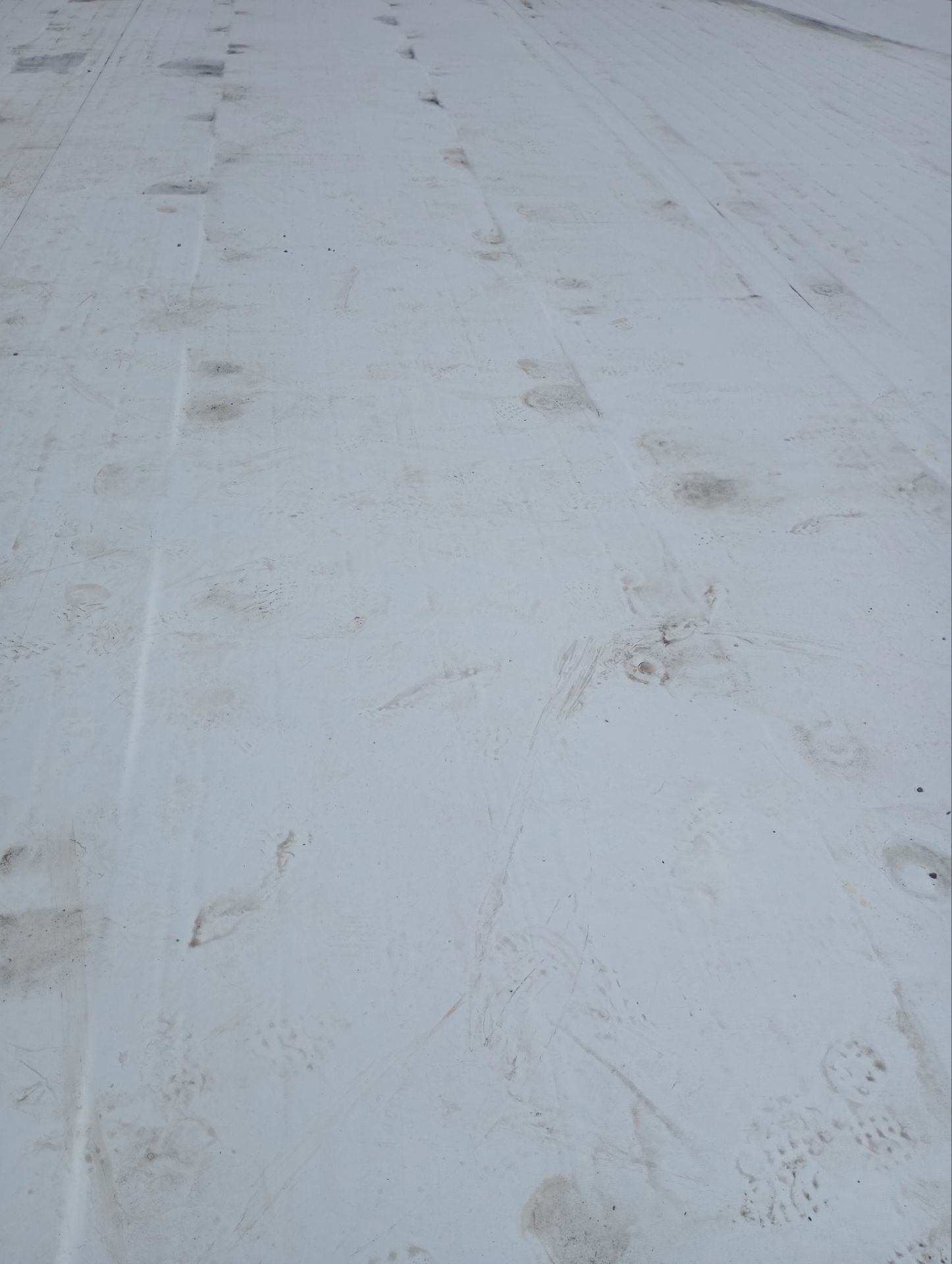 Ford Dealership - Re-Roof by Pink Roofing