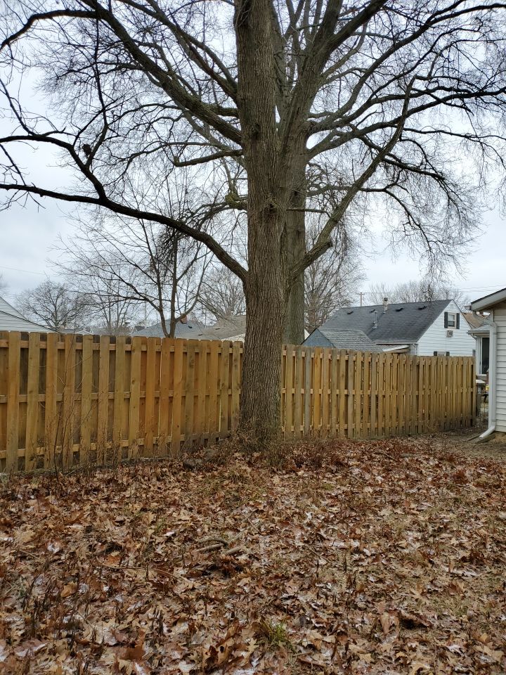 Tree Removal using Tree Removal by Mike Jones & Sons Tree Service LLC 