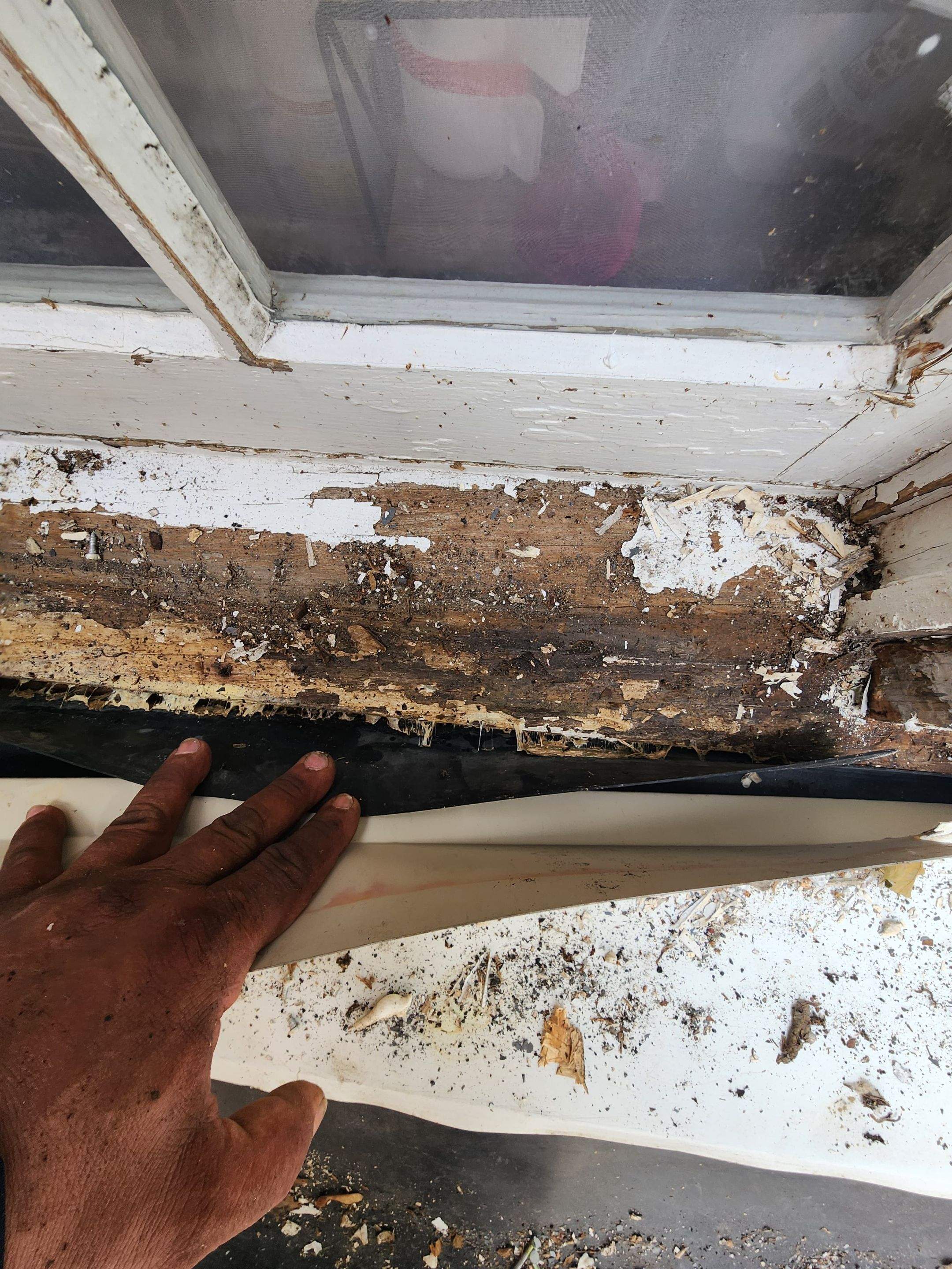 Comprehensive Gutter and Roof Maintenance Assessment in Dayton by Level Up Roofing and Restoration Services LLC