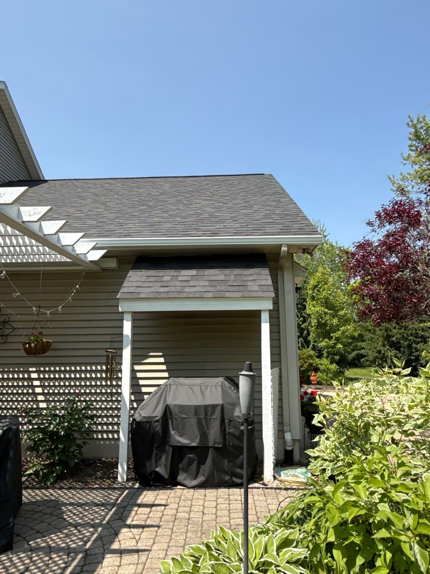 Williamston by Sunrise Seamless