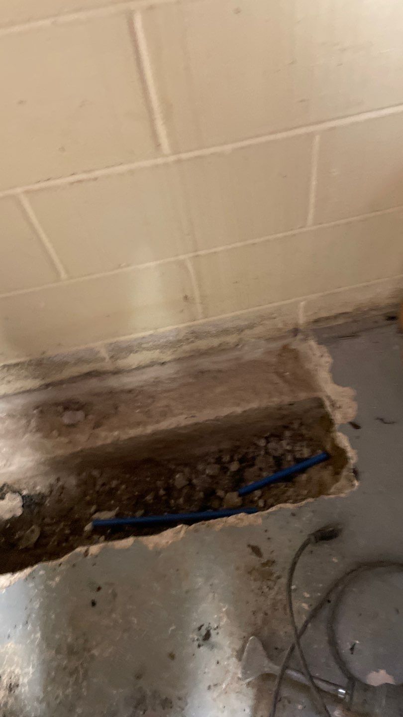 Elliot's New Brighton Remodel by Waterproofing Northeast