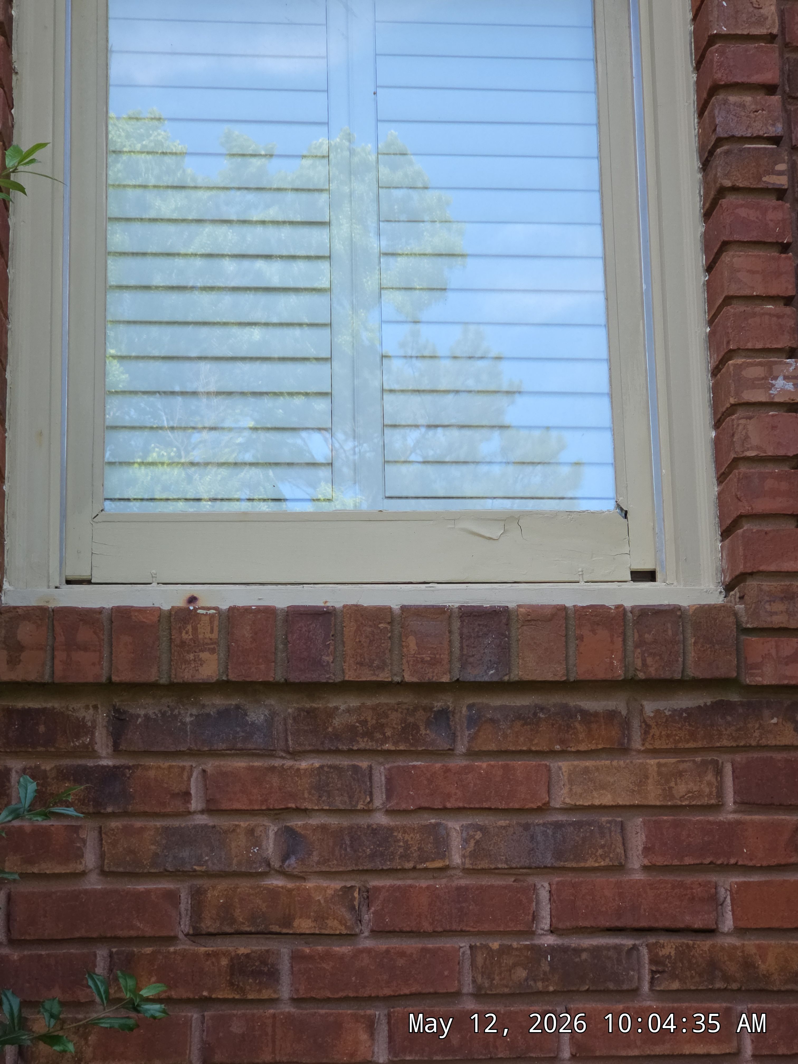 Eifert Project in Hoover by The Window Source