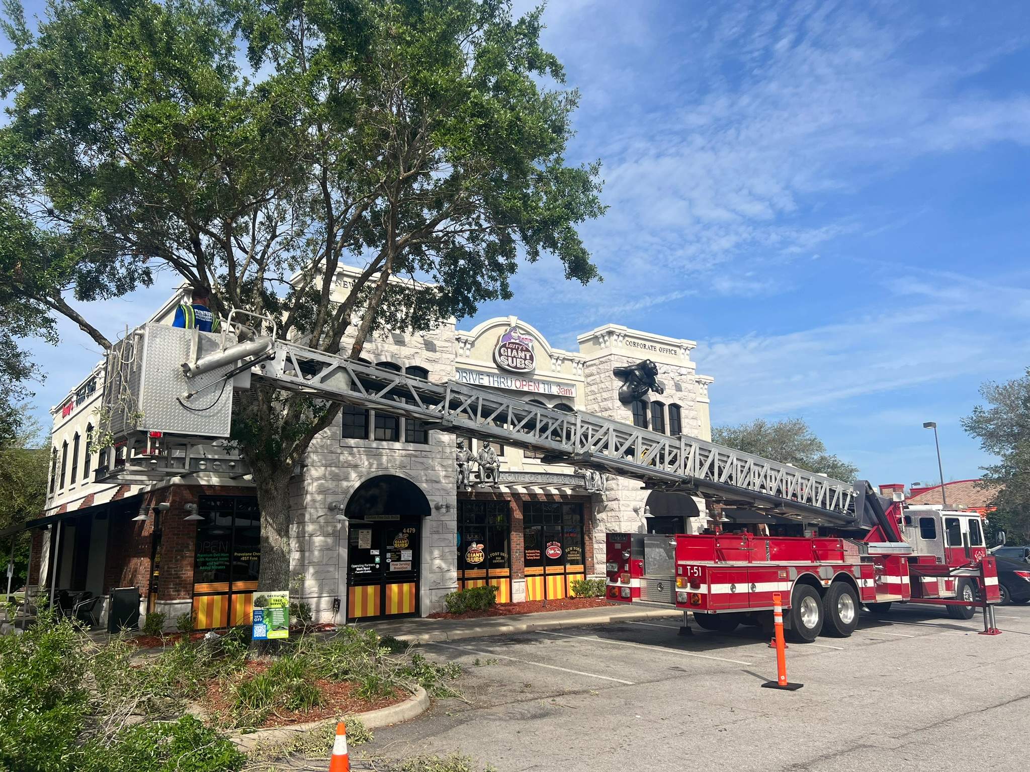 Tree Trimming | Larry's Giant Subs by ProGreen Services