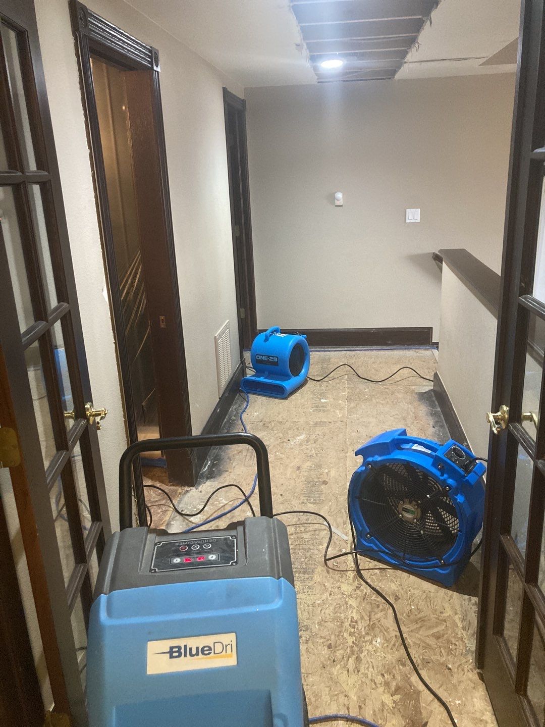 Water Damage Throughout Main Floor, Basement, and Crawl Space by Accountable Home Services