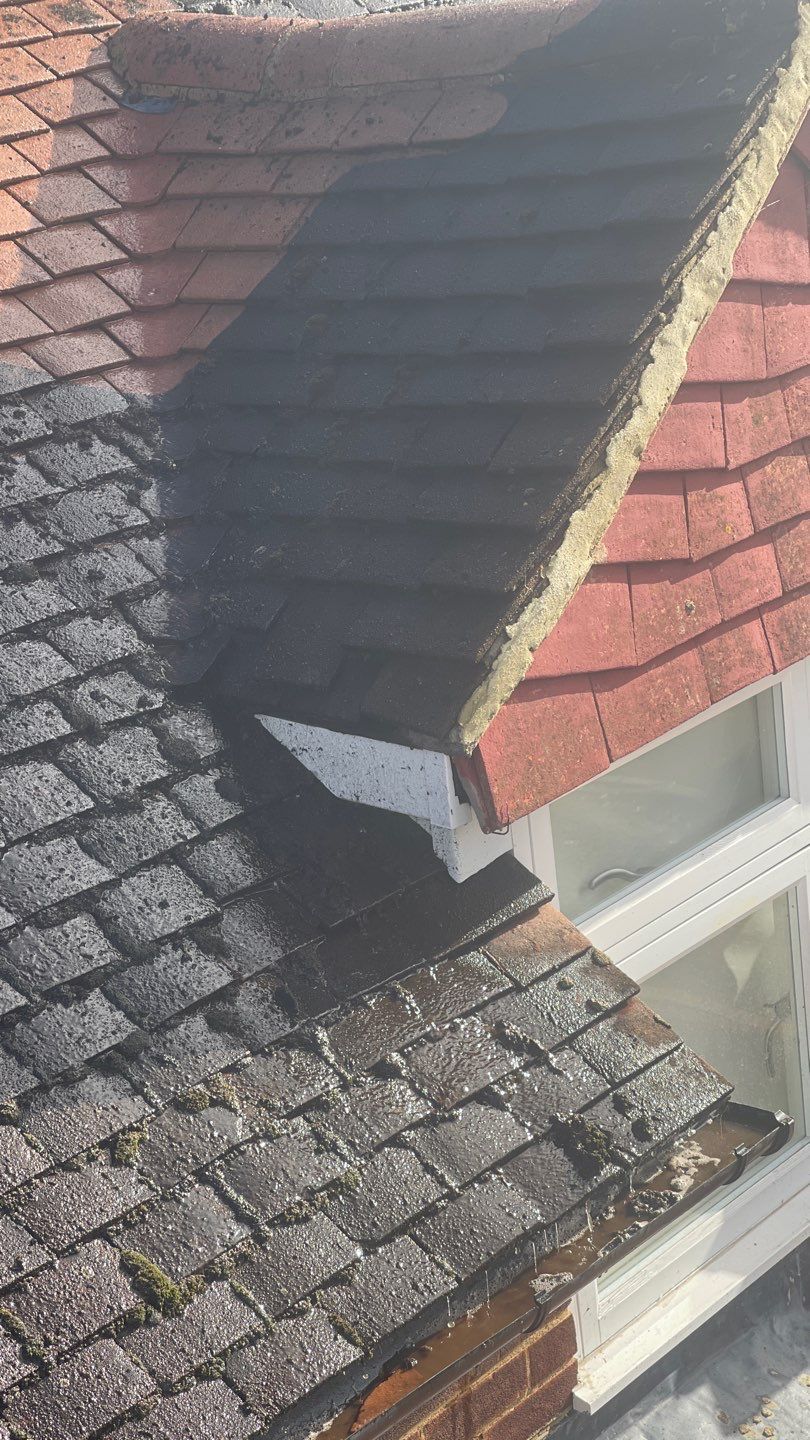 Roof Clean and Coping Stones using Honda 15lpm Low Pressure Washing Machine by Ges Exterior Cleaning ltd