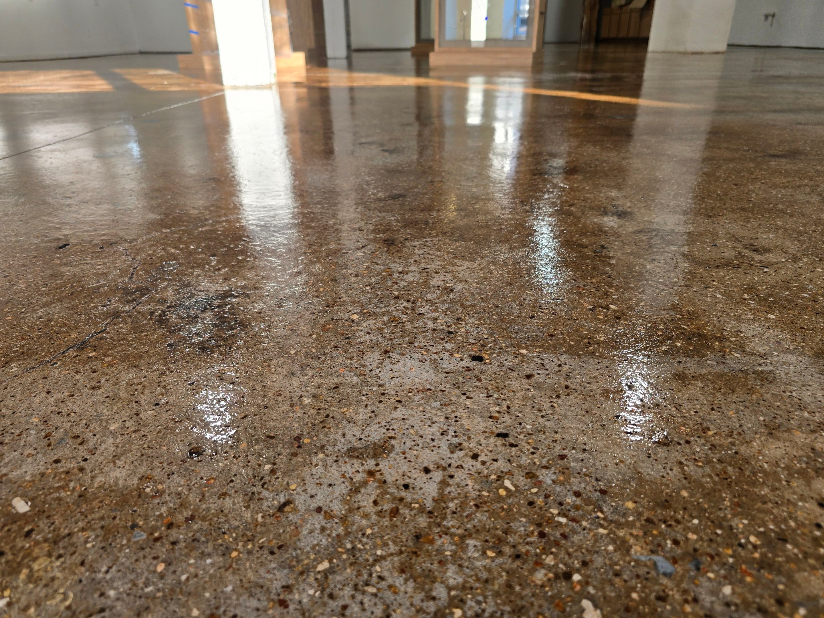 Grind & Seal Commercial Upgrade by Elite Floor Solutions