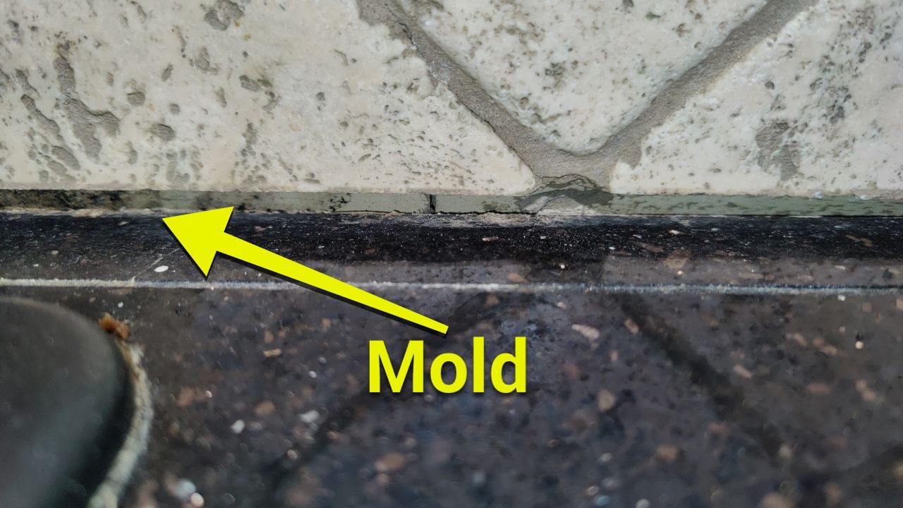Mold Damage by Accountable Home Services