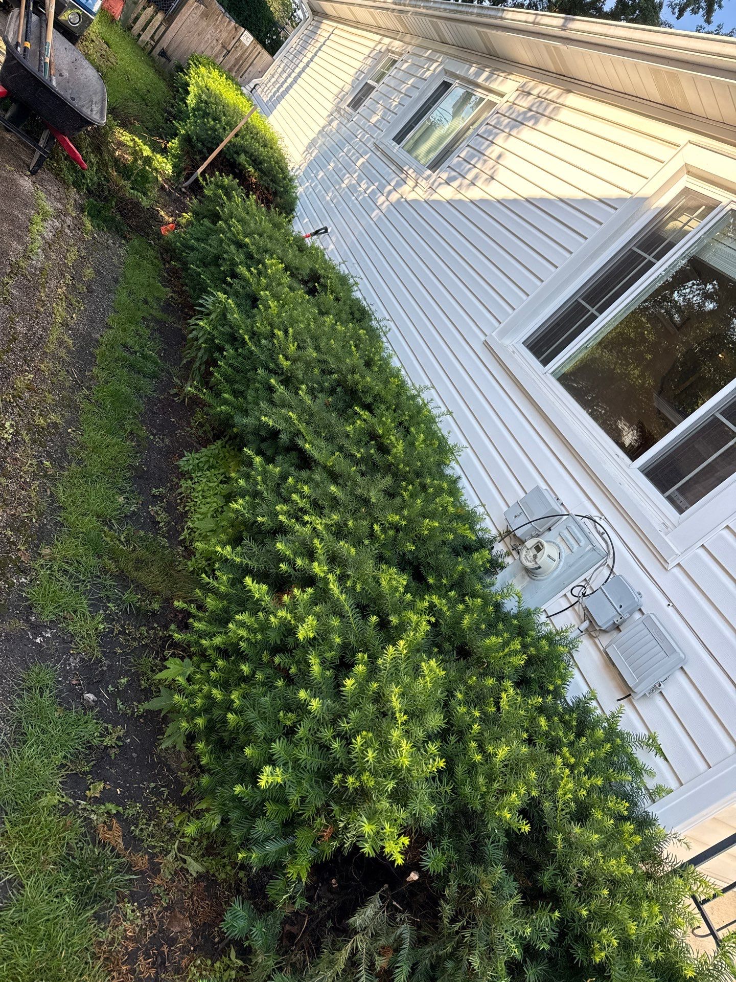 Kate M. - Arlington Heights, IL by A&N 