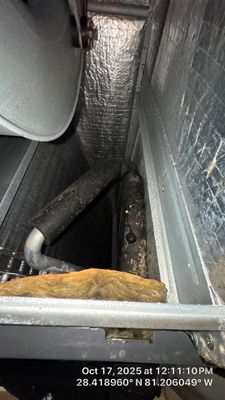 Air Duct and Bathroom Exhaust Cleaning in Orlando