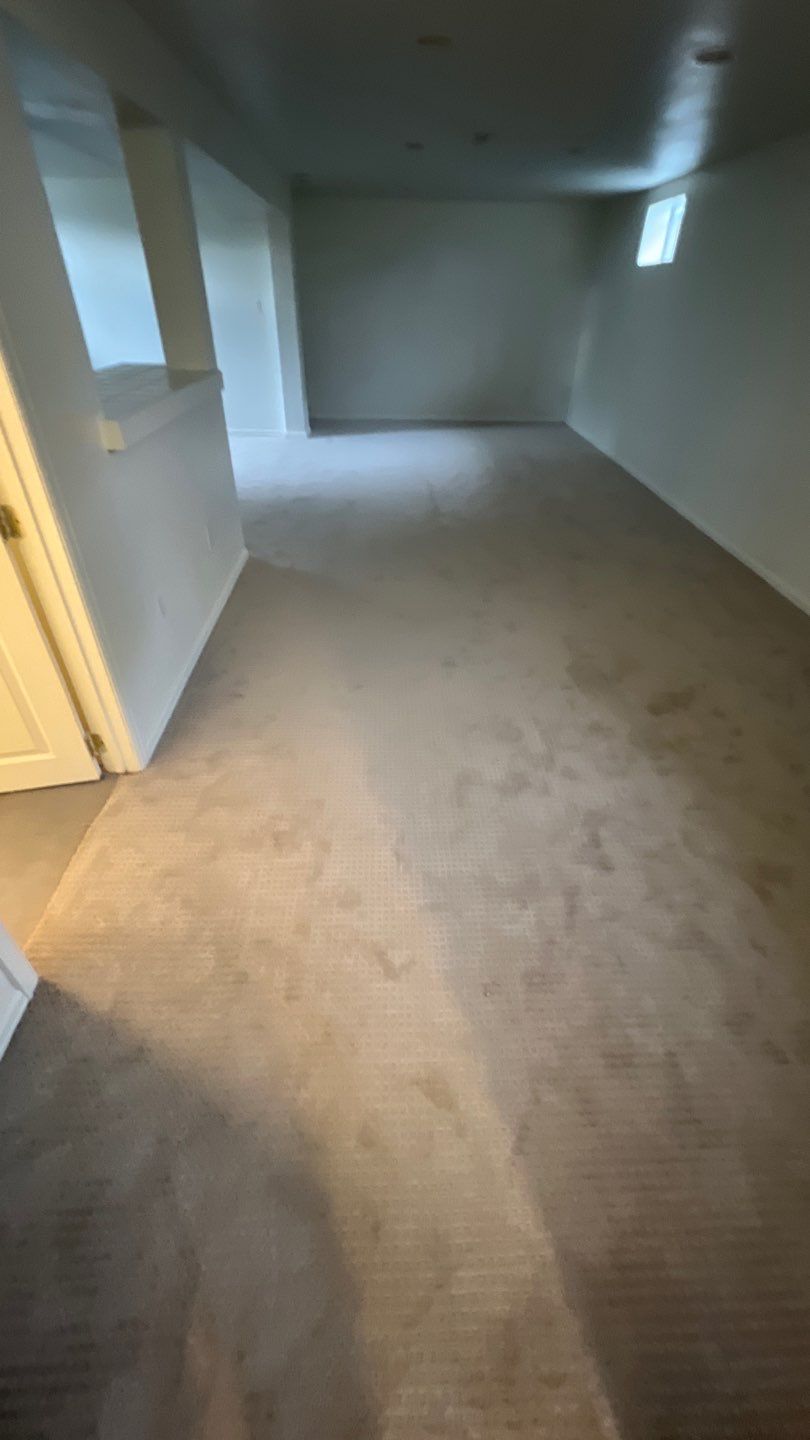 Mold Remediation by Accountable Home Services