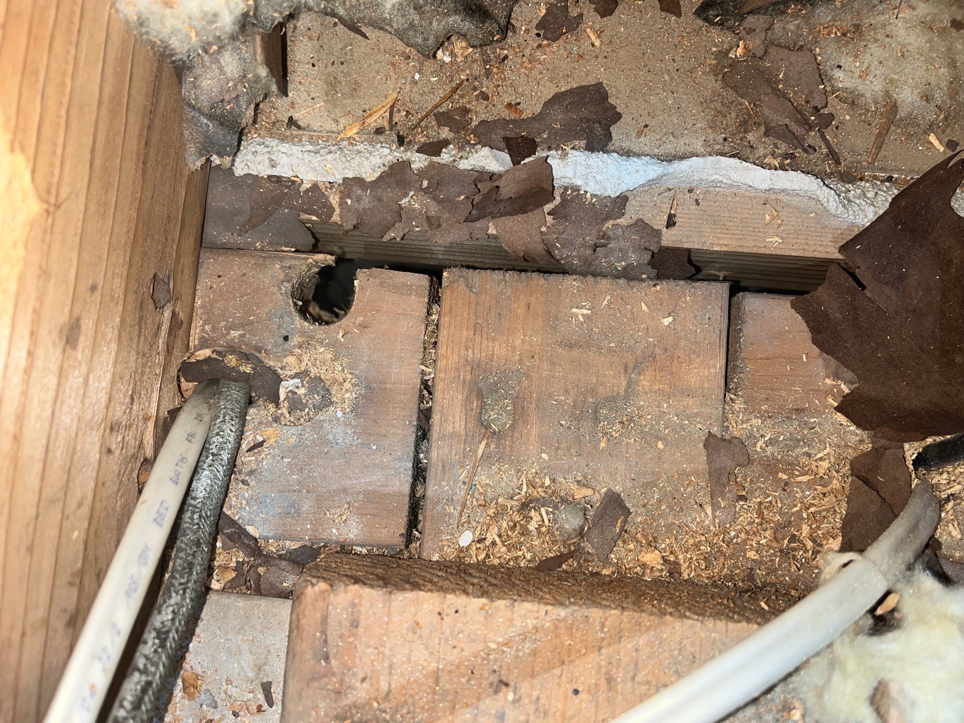 Blown-In Attic Insulation and Rodent Remediation in Canonsburg by Home Environment Solutions