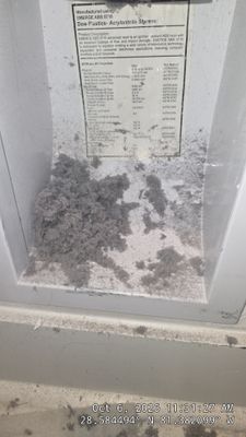Dryer Vent Cleaning & Screen Removal in Orlando