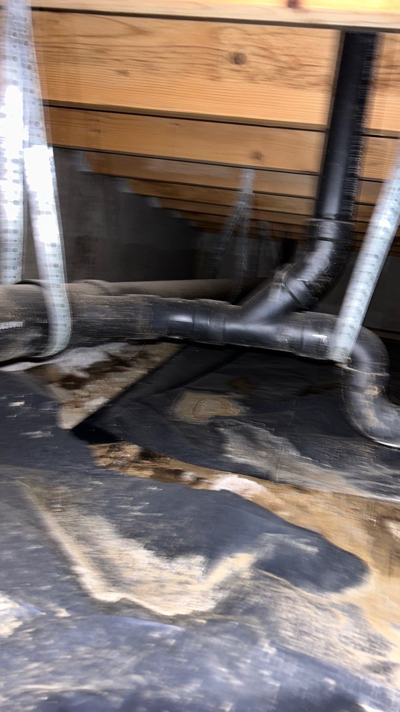 Mold Damage by Accountable Home Services