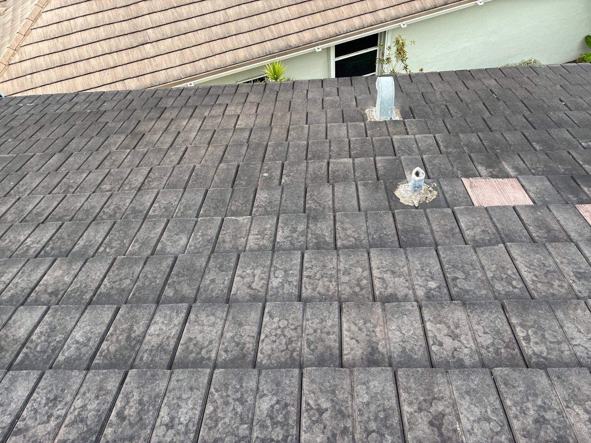 Heron Bay Parkland Painting by BKB Pressure Cleaning LLC