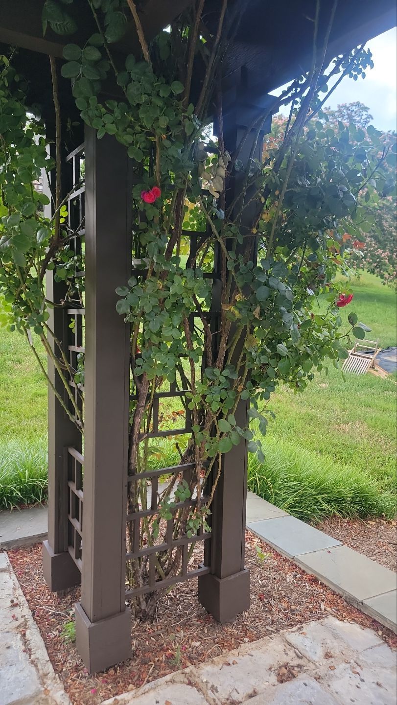 Project in Frederick by Frederick Painting & Supply, Inc.