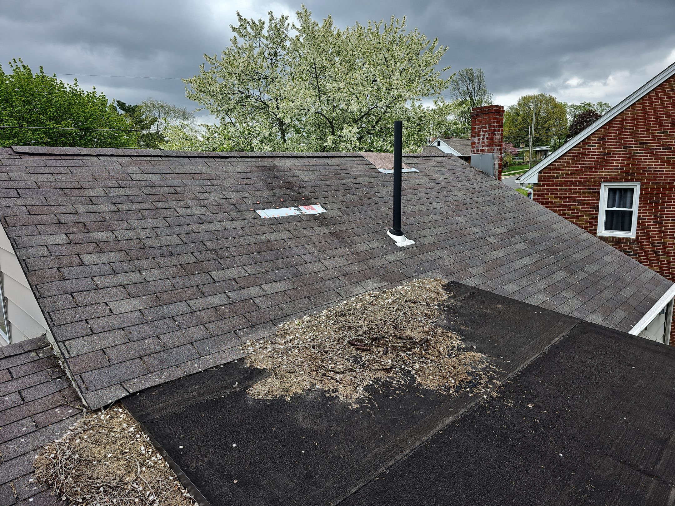 ATLAS PINNACLE COLOR: MORNING HARVEST by Eagle Eye Roofing
