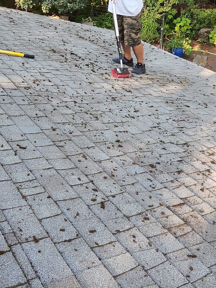 Roof Treatment using Biocide by Willamette Outdoor Wash LLC