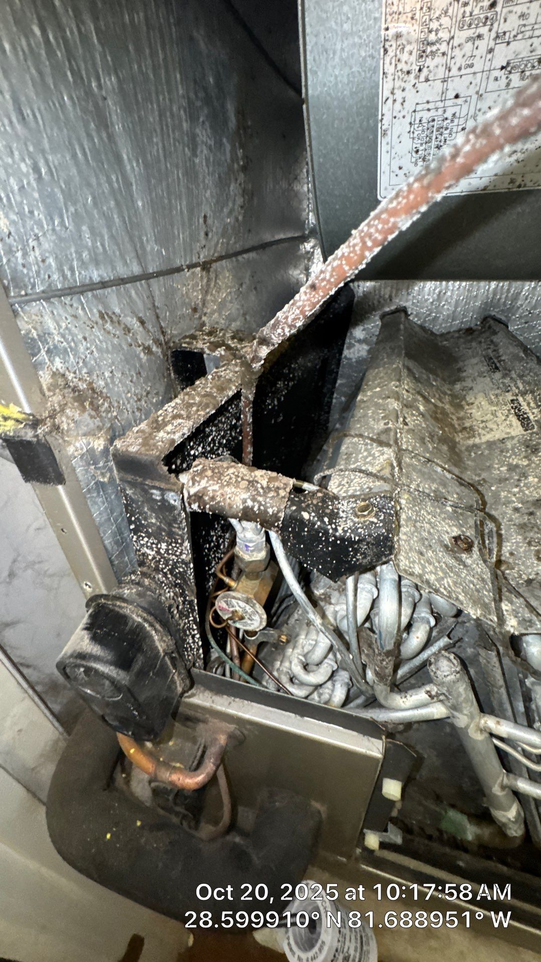 Air Duct Cleaning in Montverde by Hygienic Air, Inc