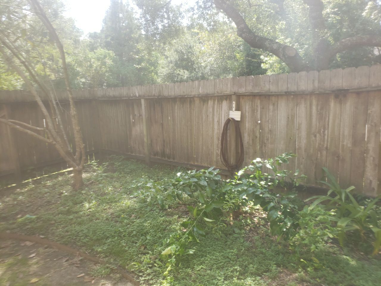 6'6" Western Red Cedar Fence Install by Astro Outdoor Designs 