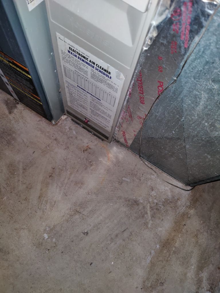 Sewage Backup Cleanup by Accountable Home Services