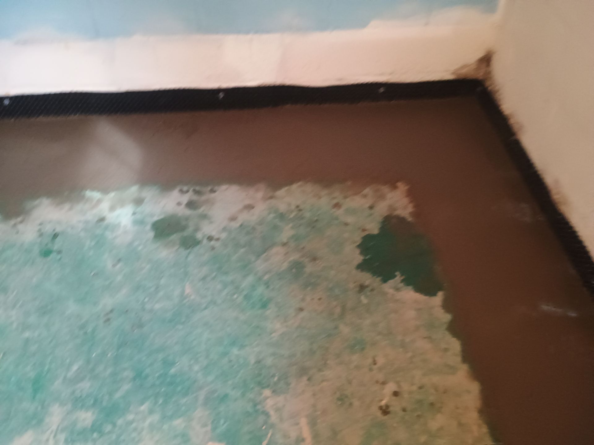 Completing the Connection for Lisa's Drain Tile System by Waterproofing Northeast