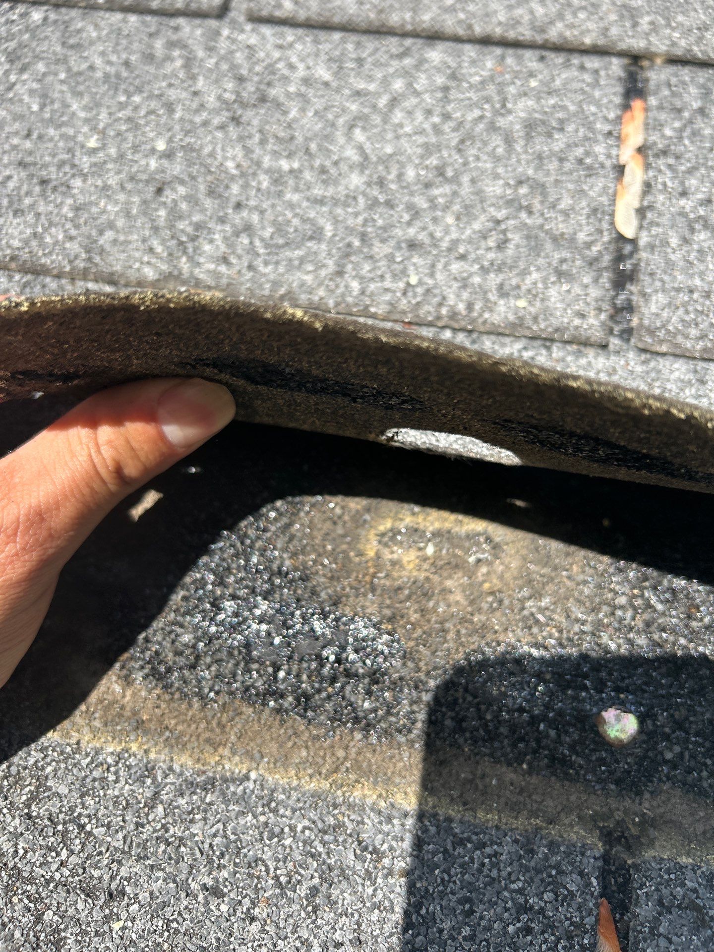 Reston Roof Replacement with CertainTeed Landmark PRO in Max Def Moire Black by RM Banning, Inc.