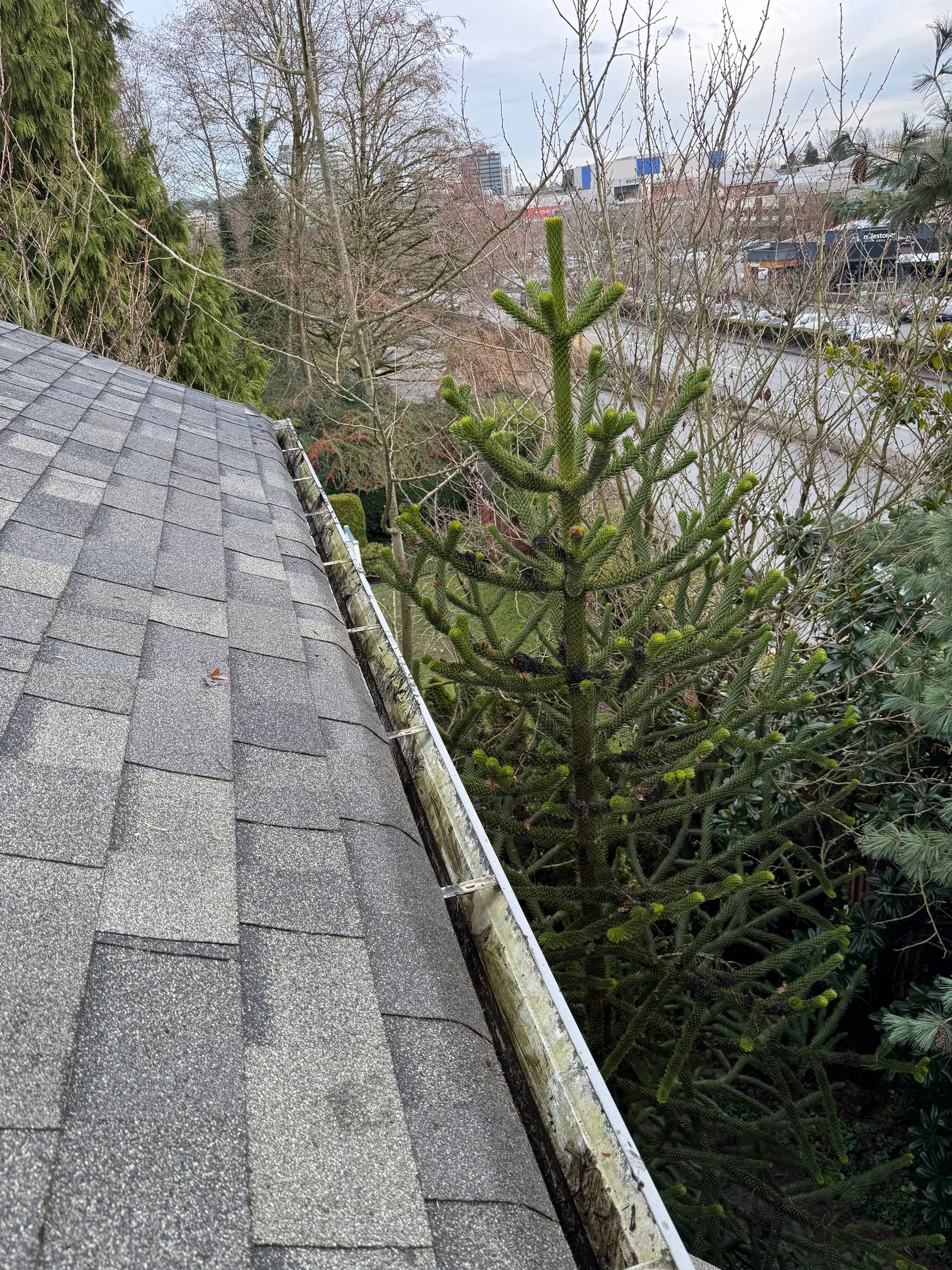 Gutter Cleaning by YVR Construction Group
