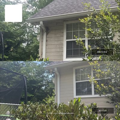Project in Dalton