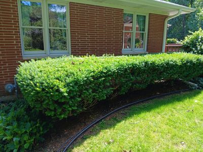 Al K. - Arlington Heights, IL