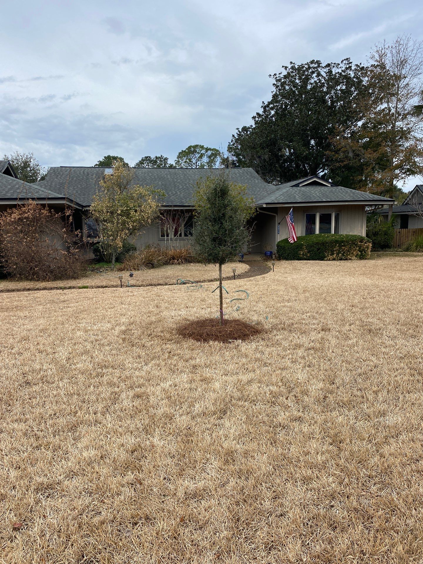 Deerwood Resident | Tree Install by ProGreen Services