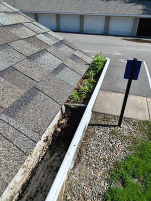 Gutter Cleaning for Apartment Buildings – Buffalo, MN