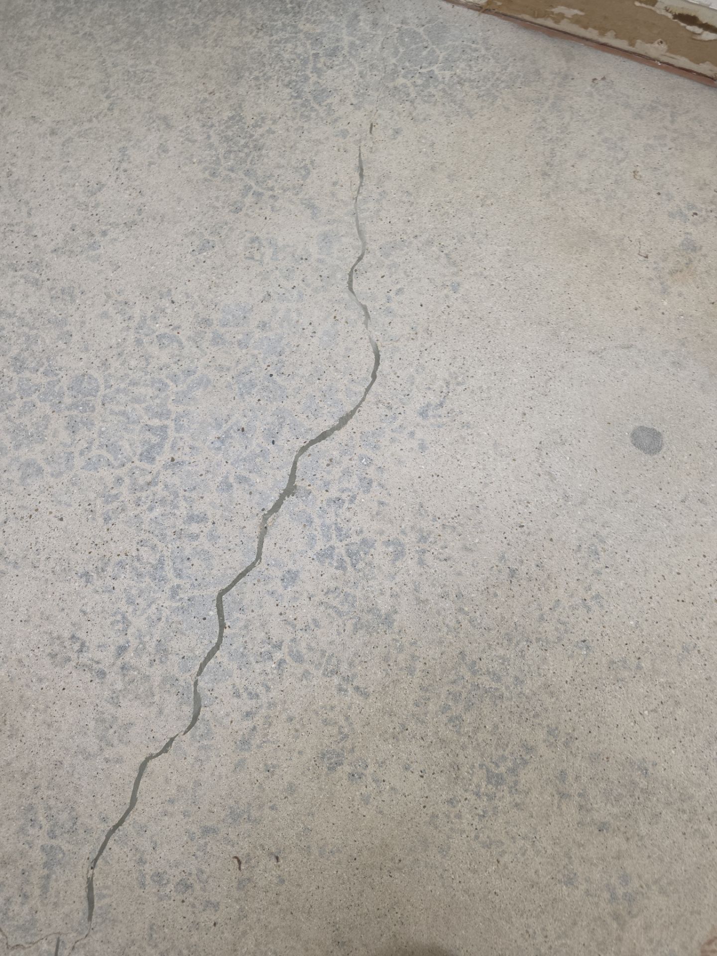 Haze Grey Commercial Interior Floor Coating in Atascadero by MGP Coatings