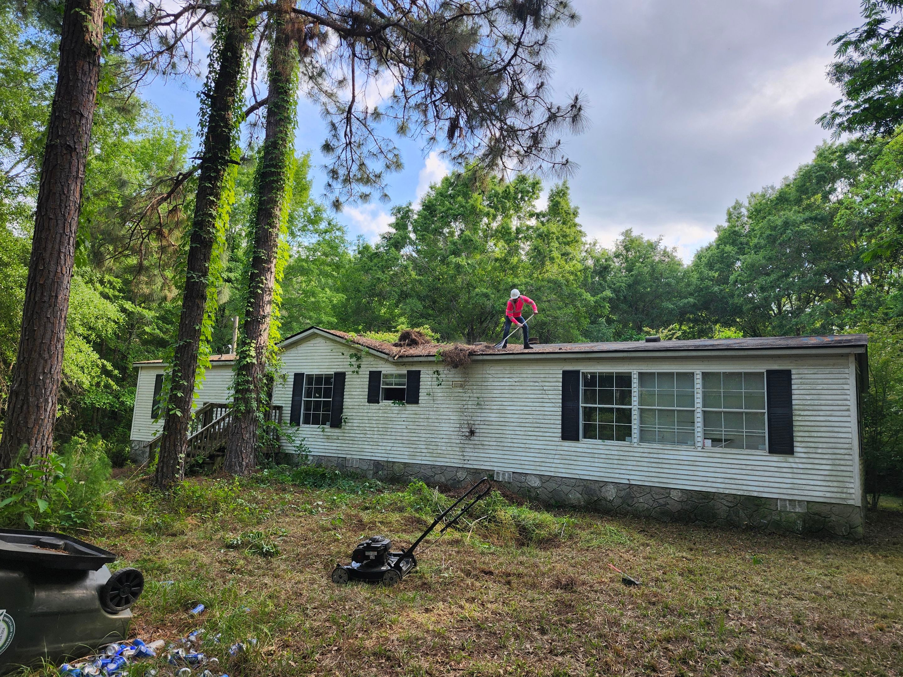 Exterior Clearing - tree trimming - grass cut by Swift Signings and Services LLC