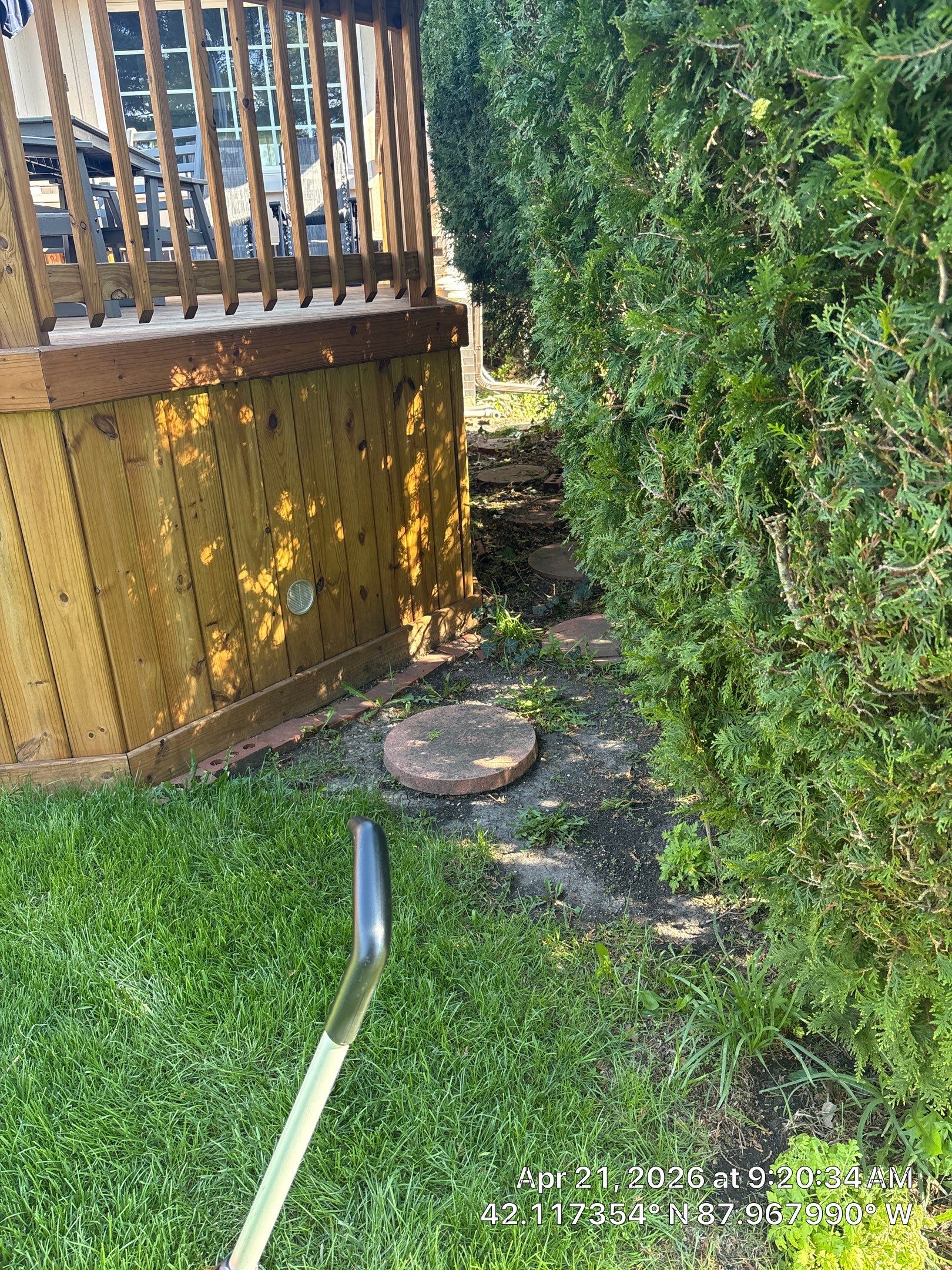 Brian W. - Arlington Heights, IL by A&N